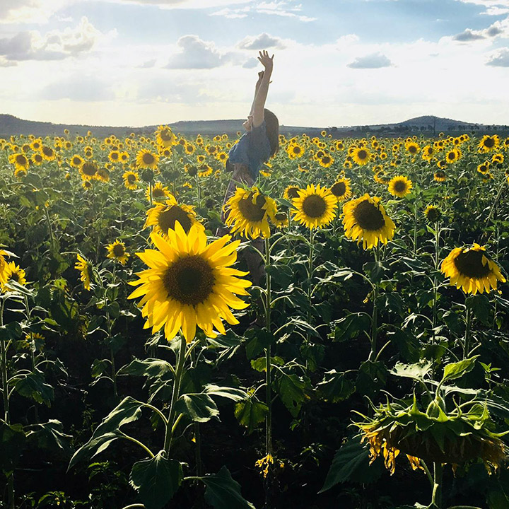 Kvinde der går i terapi for selvudvikling hos Psykolog i København psykolog Morten Skyum Nielsen står midt i en solsikkemark med hænderne i vejret
